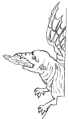 magnus dragon