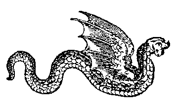 Dragon 1 (Conrad Gesner), 4 kb